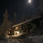Kuusivilla 1
