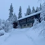 Kuusivilla 1 *