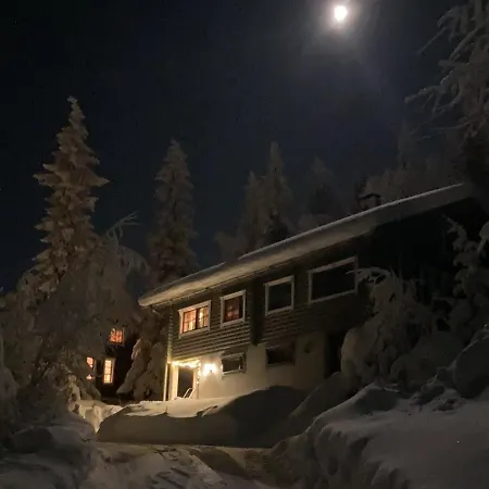 Kuusivilla 1