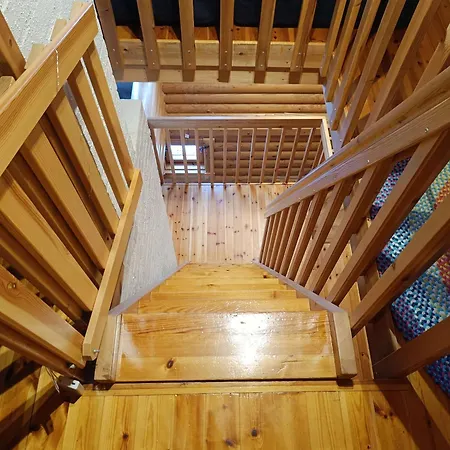 Kuusivilla 1