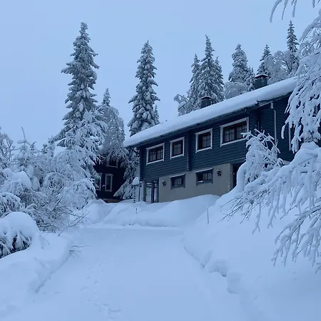 Kuusivilla 1 *