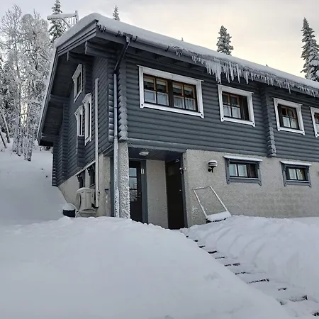 Apartamento Kuusivilla 1