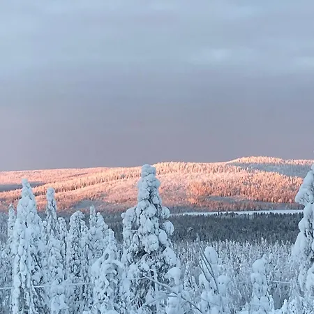 Kuusivilla 1 Apartamento *