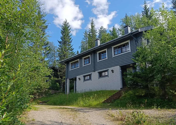 Kuusivilla 1 Huoneisto Iso-Syöte