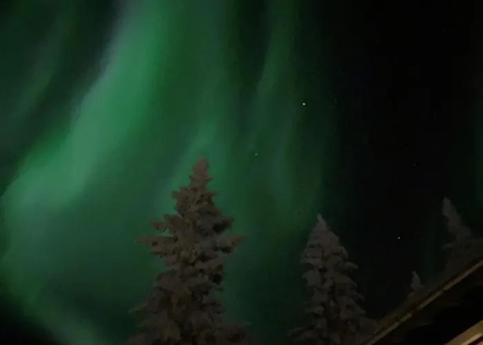 Kuusivilla 1 Huoneisto