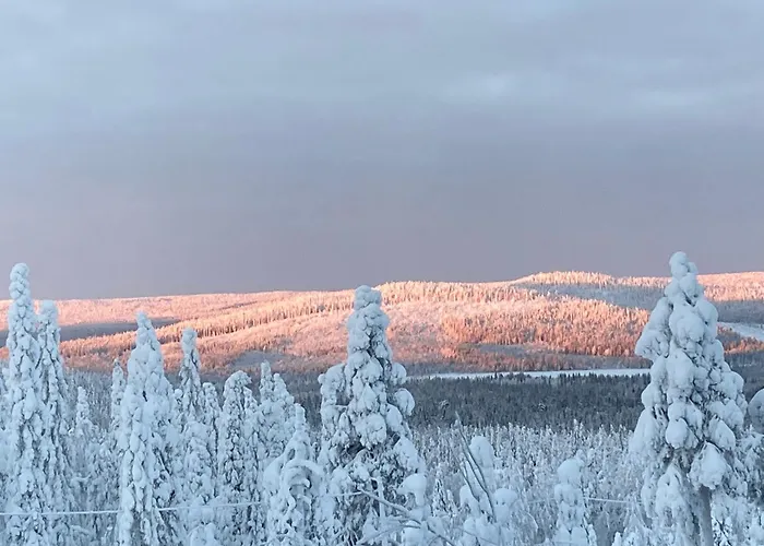 Kuusivilla 1 Huoneisto *